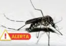 Segundo caso de morte por dengue no Rio Grande do Sul em 2026 é confirmado