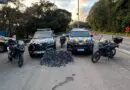 Polícia Civil e PRF apreendem mais de 230 quilos de maconha em Santa Maria