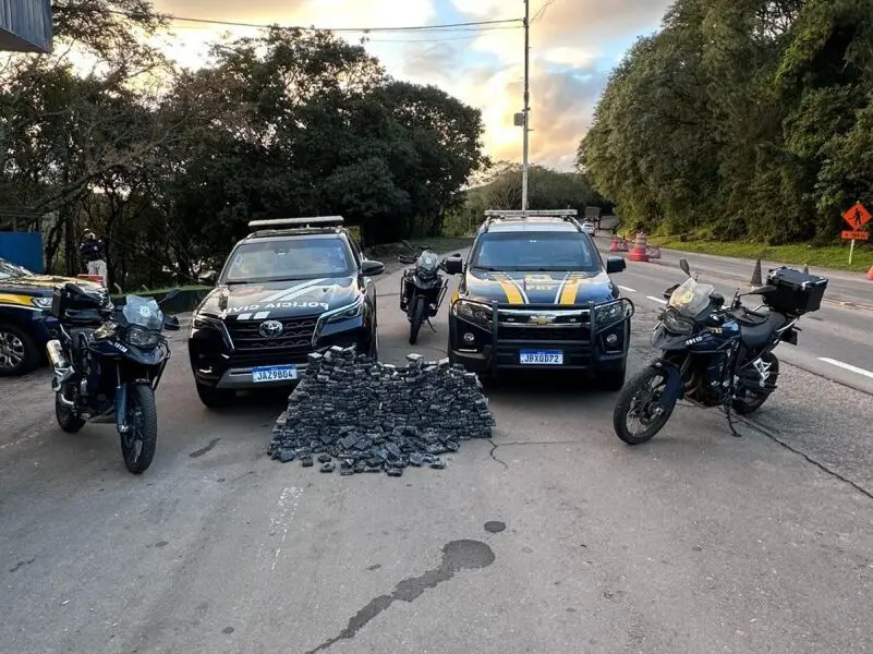 Polícia Civil e PRF apreendem mais de 230 quilos de maconha em Santa Maria
