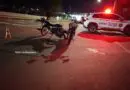 Acidente envolve duas motos em Panambi