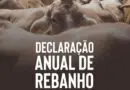 Alerta aos produtores rurais que não entregaram a Declaração Anual do Rebanho