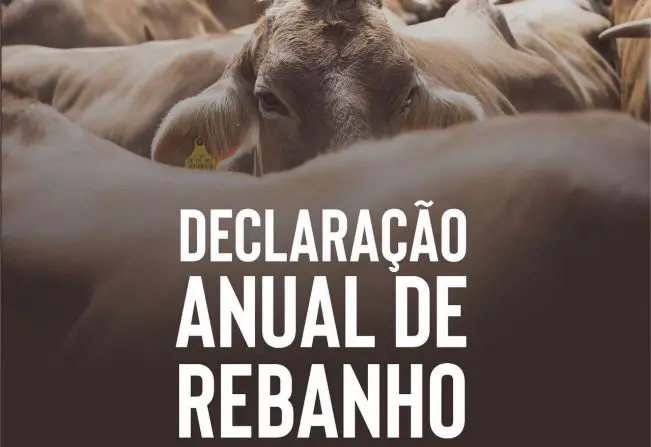 Alerta aos produtores rurais que não entregaram a Declaração Anual do Rebanho