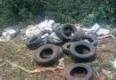 Denúncia de desova de lixo em Rincão Frente interior de Panambi