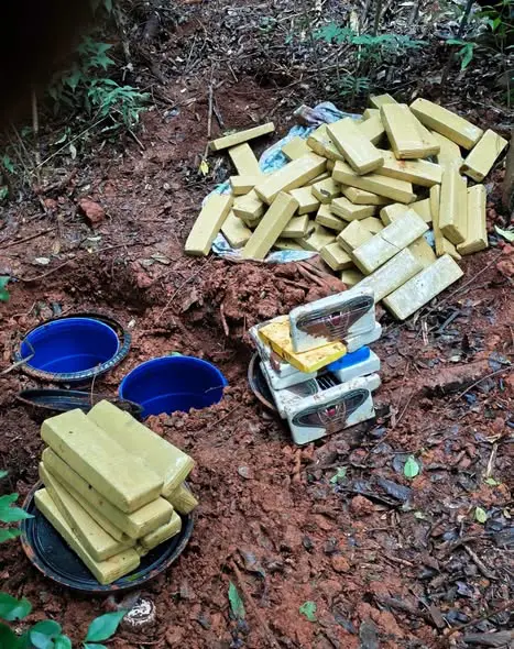 DRACO apreende mais de 64 quilos de drogas enterradas em área de mata em Ijuí