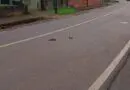 Blitz no Trânsito de Panambi: Na fuga condutor de bicicleta com motor a combustão perde o par de chinelos de dedo