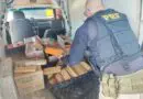 PRF apreende 158 quilos de maconha e prende três homens em Sarandi