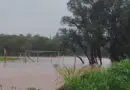 Rios Fiúza e Ijuí transbordam em Panambi