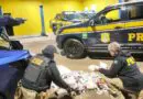 PRF prende homem com cerca de 500 unidades de canetas emagrecedoras e anabolizantes em Sarandi