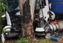 Carreta colide em árvore na BR 158 em Panambi