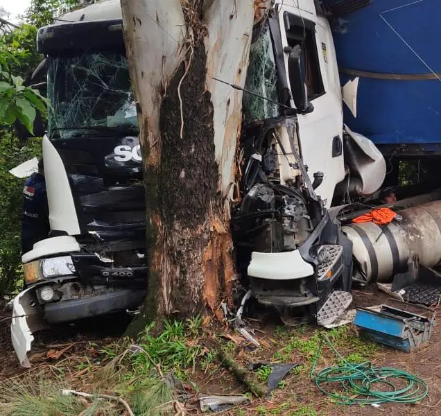 Carreta colide em árvore na BR 158 em Panambi