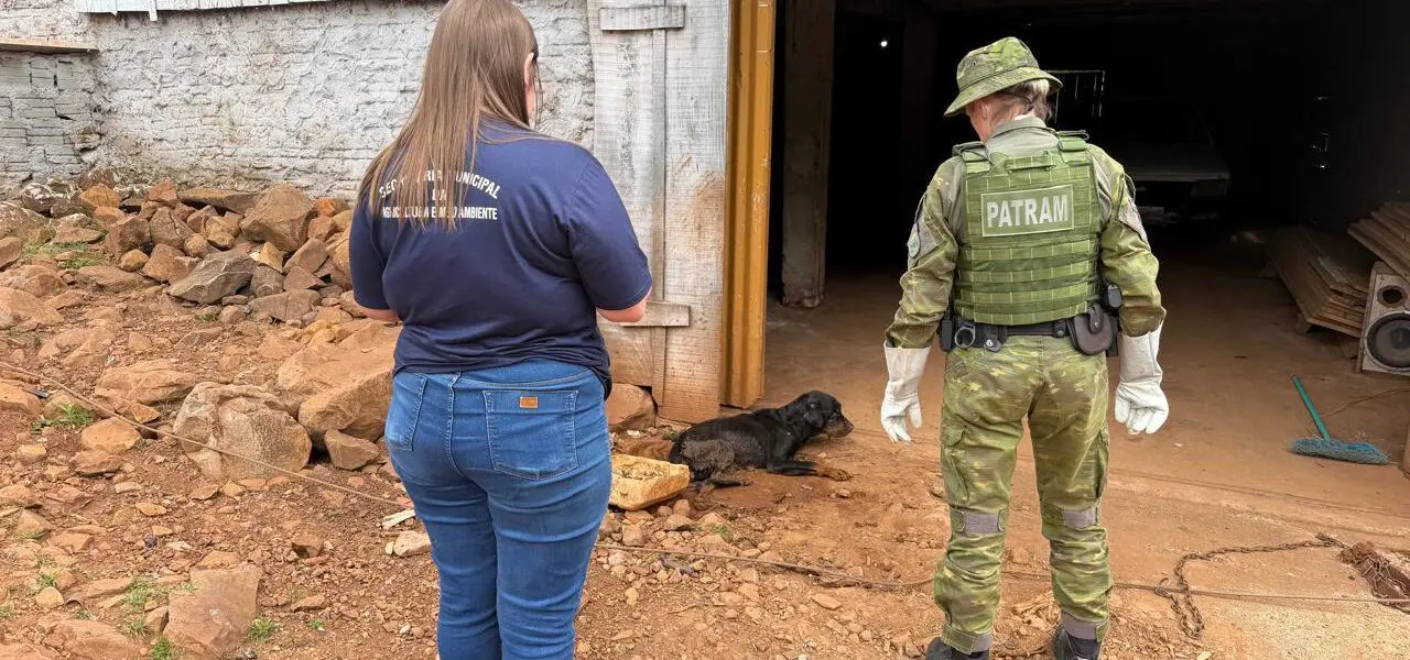 Resgate de cão vítima de maus-tratos em Erval Seco