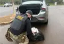 PRF prende homem por tráfico de skunk e haxixe na BR-386 em Sarandi