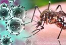 Panambi fecha a semana com 11 casos ativos de Covid e 09 casos suspeitos de dengue