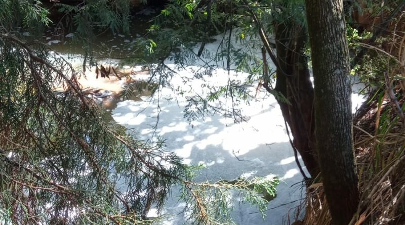 Espuma branca é encontrada no Rio Poxim em Aracaju, Sergipe