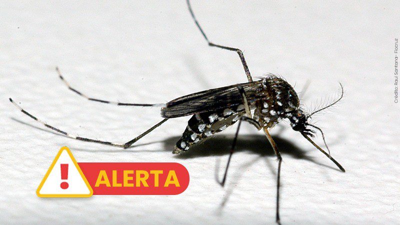 Mais dois óbitos por dengue são confirmados no RS em 2024