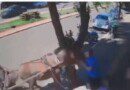 Vereador é atacado por burro no interior do Paraná