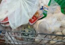 Fraldas, bicos infantis e carnes vencidas: fiscalização apreende 5 toneladas e leva à prisão dono de mercado em Ijuí