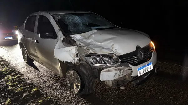 Acidente na BR 158 em Cruz Alta envolve carro e  cavalo