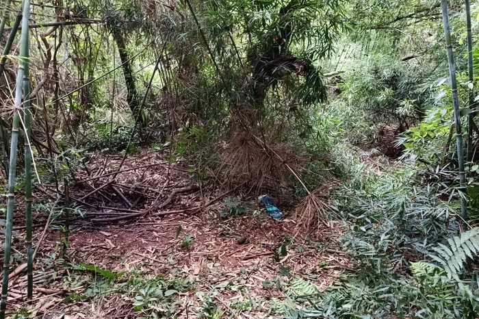 Ossada humana é encontrada no interior de Tapera; restos podem ser de homem desaparecido há quase quatro anos