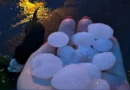 Temporal com granizo atinge Ajuricaba