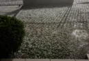 Santa Bárbara do Sul tem prejuízo superior a R$ 15 milhões no campo após queda de granizo