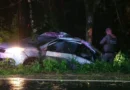 Mulher de 55 anos morre após perder controle do carro e bater contra árvore na RSC-377, entre Cruz Alta e Ibirubá