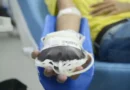 Pessoas com 70 anos ou mais poderão doar sangue